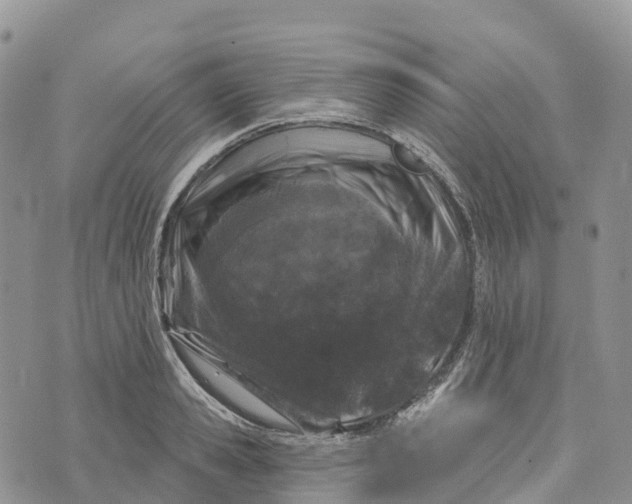 X0000072940941200608111557