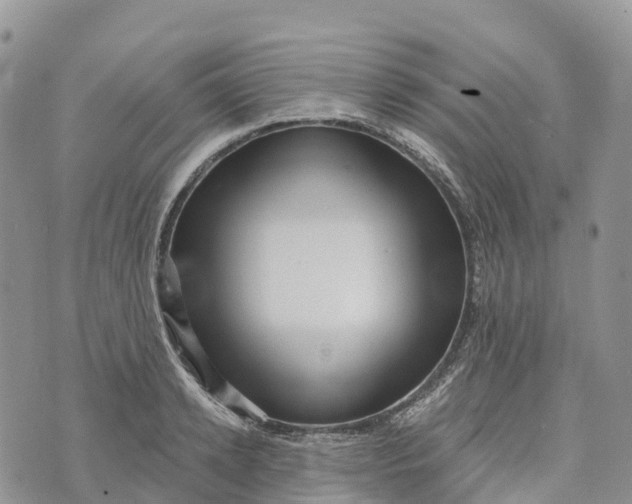 X0000072940942200608111557