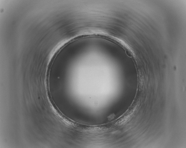 X0000072940943200608111557