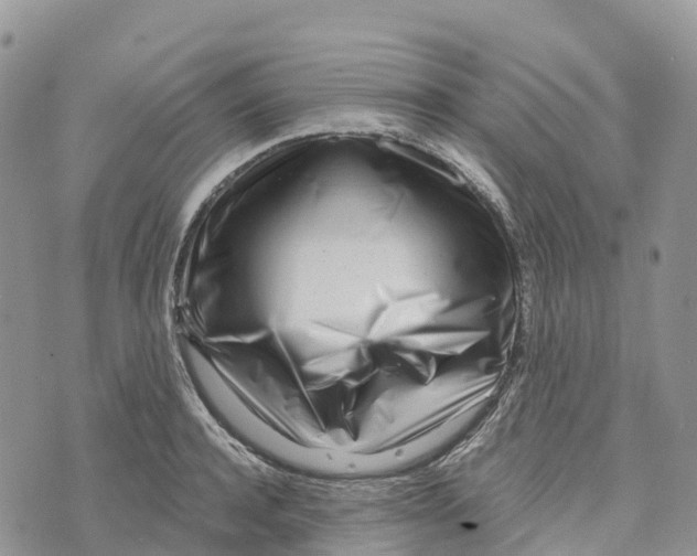 X0000072940944200608111557