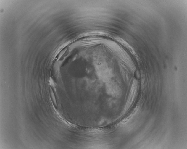 X0000072940945200608111557