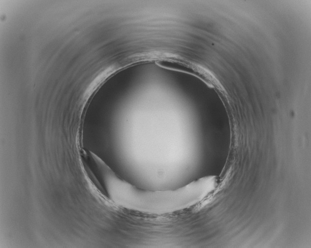 X0000072940946200608111557