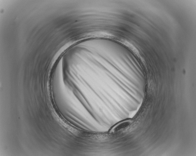 X0000072940947200608111557