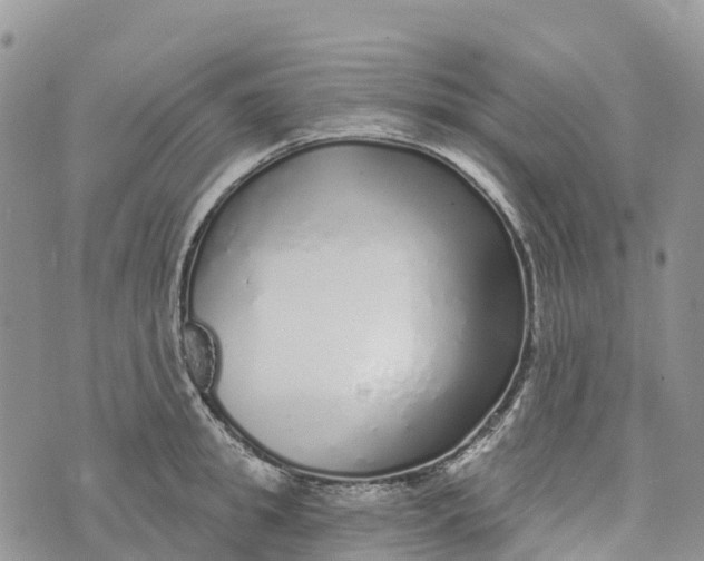 X0000072940949200608111557