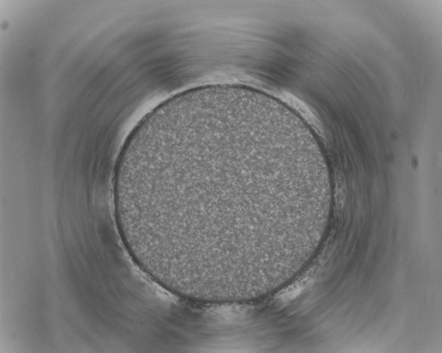 X0000072940950200608111557