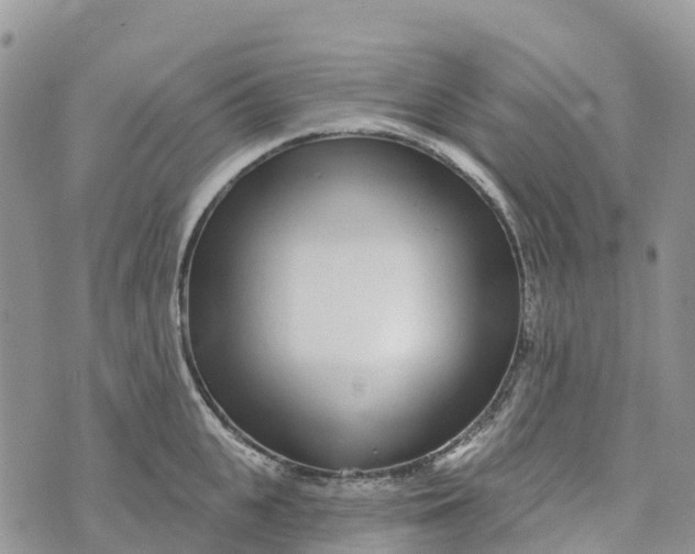 X0000072940951200608111557