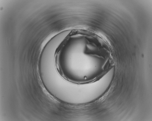 X0000072940952200608111557