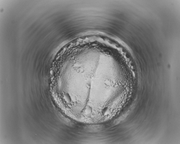 X0000072940953200608111557