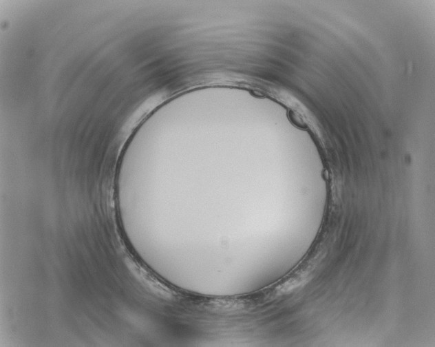 X0000072940954200608111557