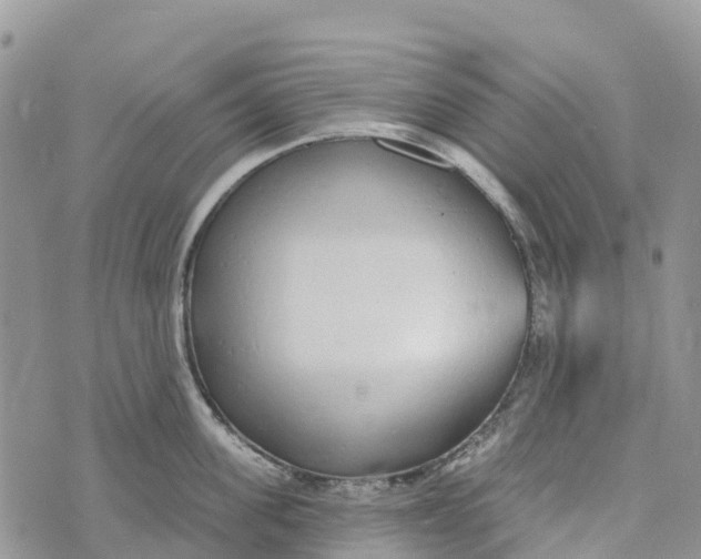 X0000072940955200608111557