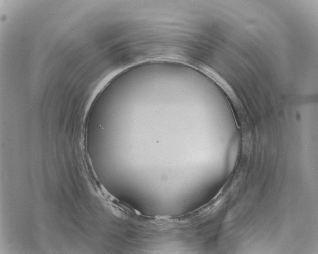 X0000072940956200608111557