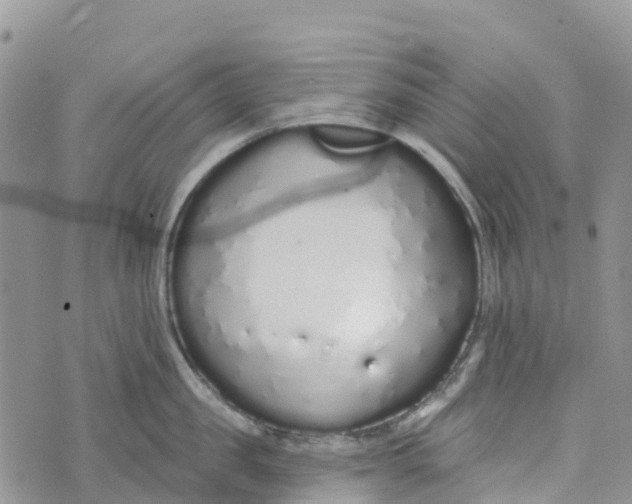 X0000072940957200608111557