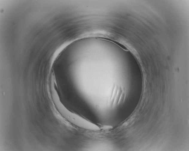 X0000072940960200608111557