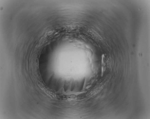 X0000072940961200608111556