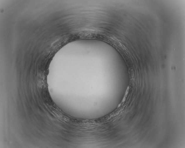 X0000072940964200608111556