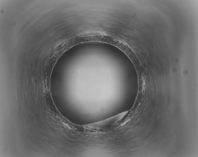 X0000072940965200608111556