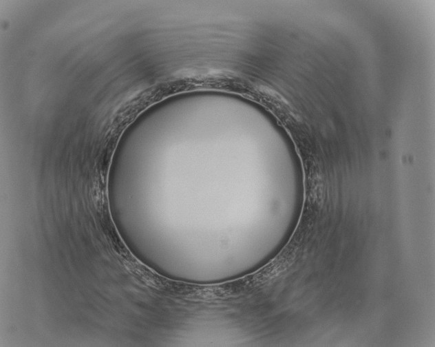 X0000072940966200608111556