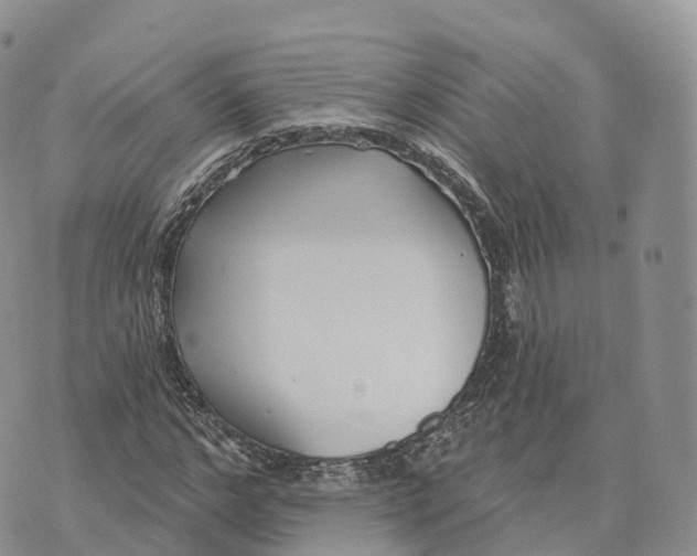 X0000072940968200608111556