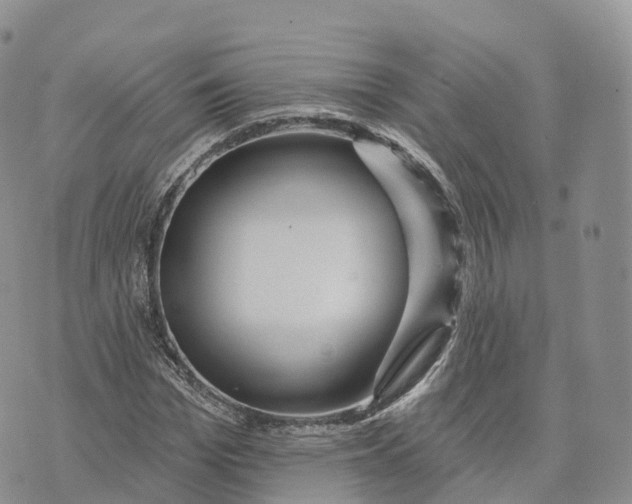 X0000072940969200608111556