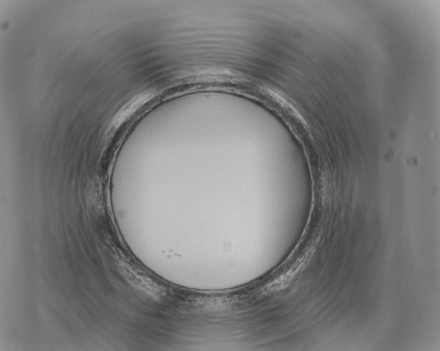 X0000072940970200608111556