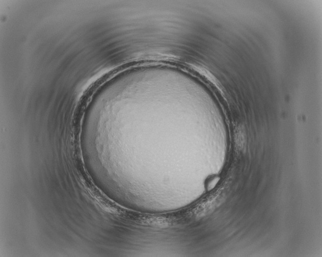 X0000072940971200608111556