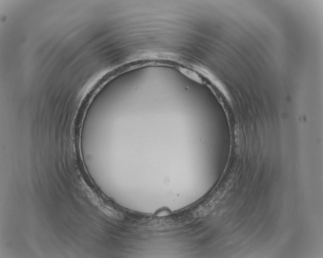 X0000072940972200608111556