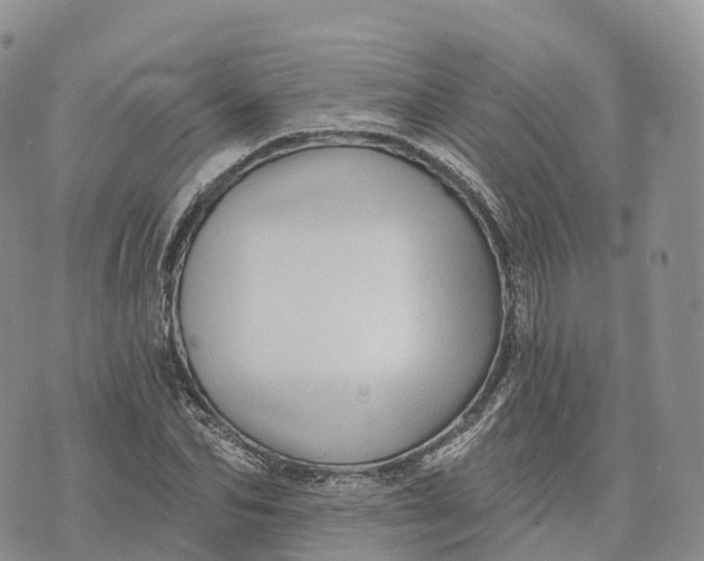 X0000072940974200608111556