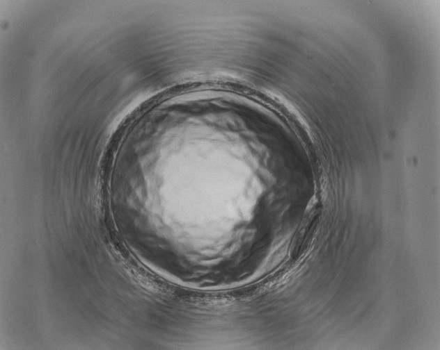 X0000072940975200608111556