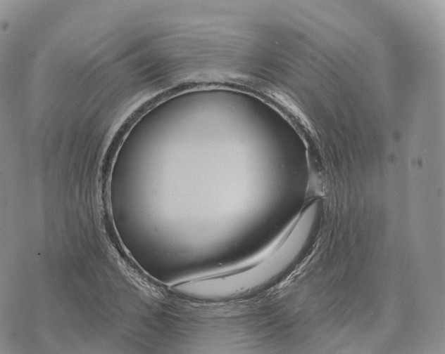 X0000072940976200608111556