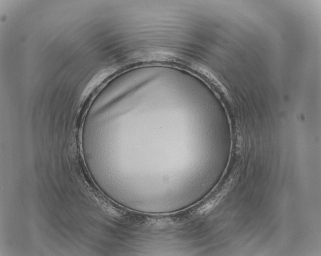 X0000072940978200608111556