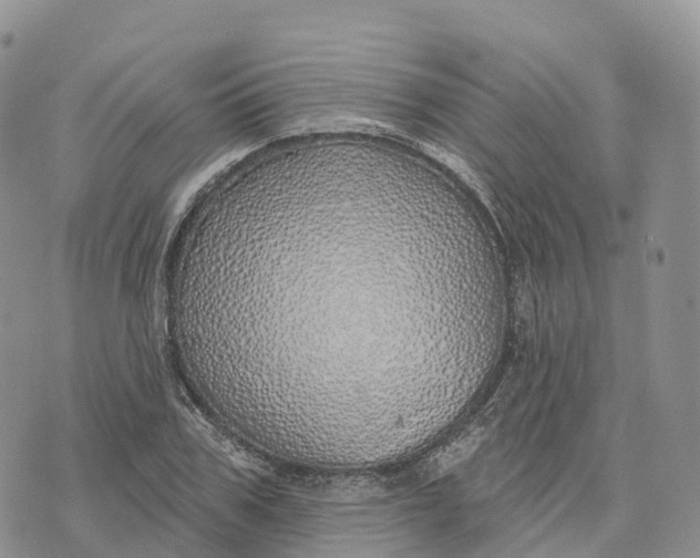 X0000072940979200608111556