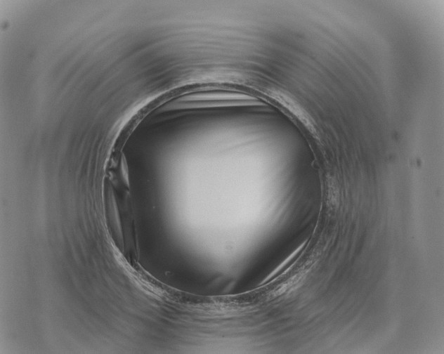 X0000072940980200608111556