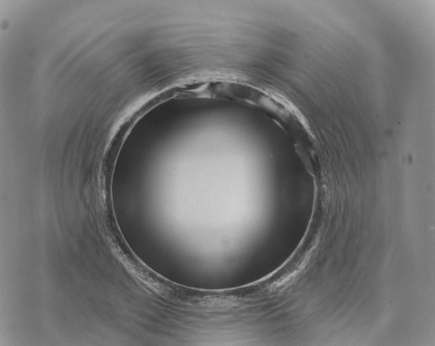 X0000072940981200608111556