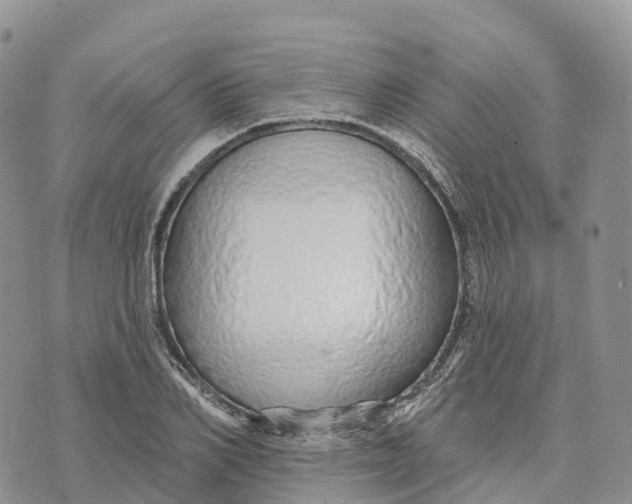 X0000072940982200608111556