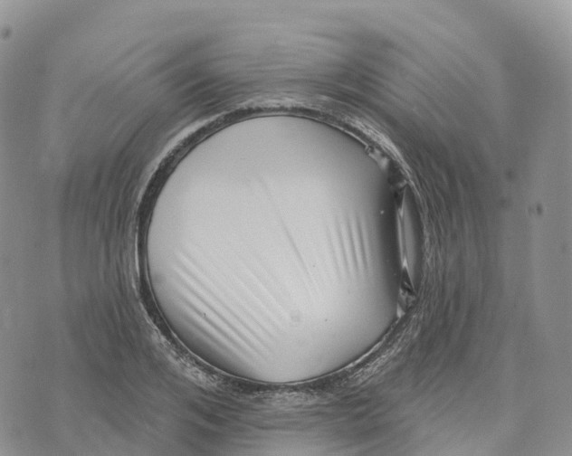 X0000072940984200608111556