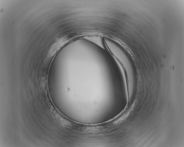 X0000072940985200608111556