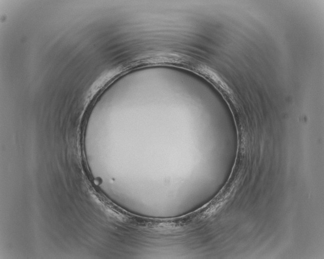 X0000072940986200608111556