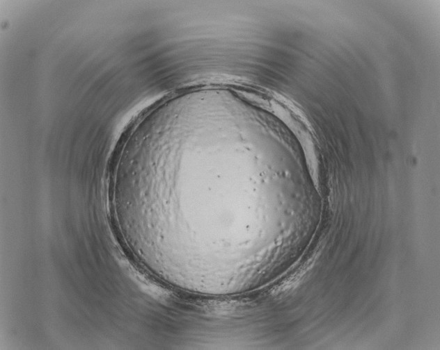 X0000072940987200608111556