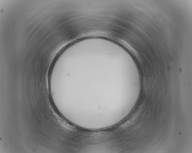 X0000072940988200608111556