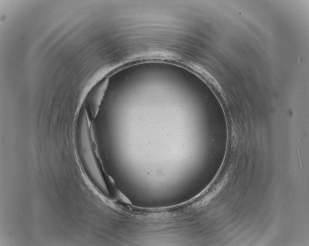 X0000072940989200608111556