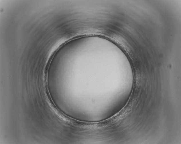 X0000072940990200608111556