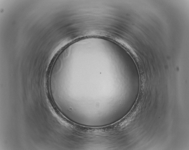 X0000072940991200608111556