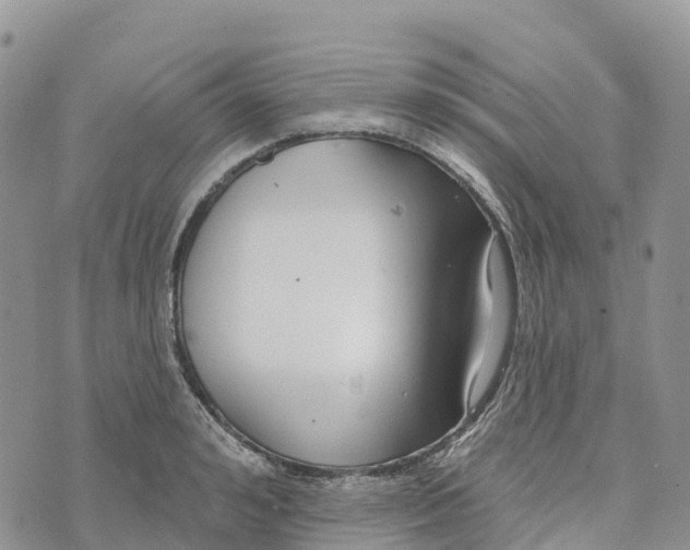 X0000072940992200608111556