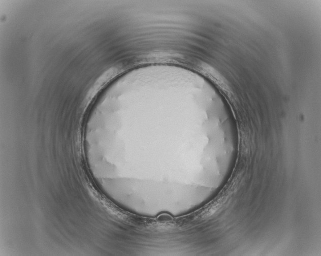 X0000072940994200608111556