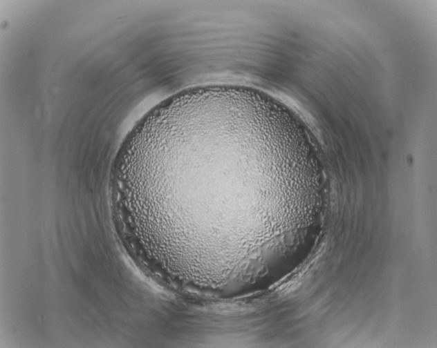 X0000072940998200608111556