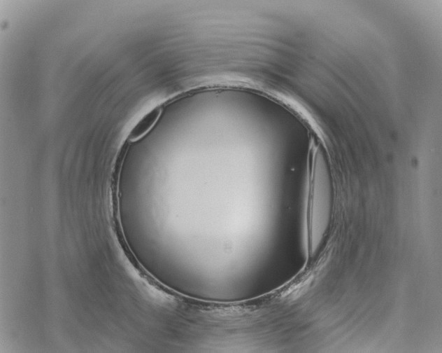 X0000072940999200608111556