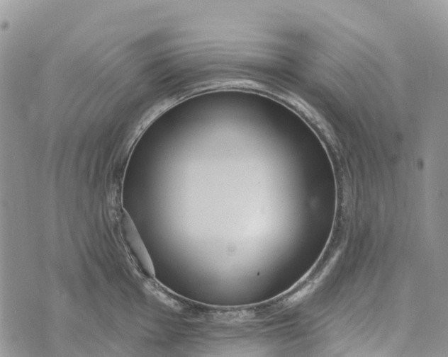 X0000072941001200608111556