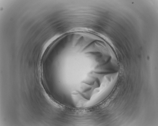 X0000072941003200608111556