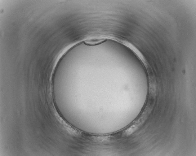 X0000072941004200608111556