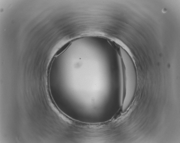 X0000072941005200608111556